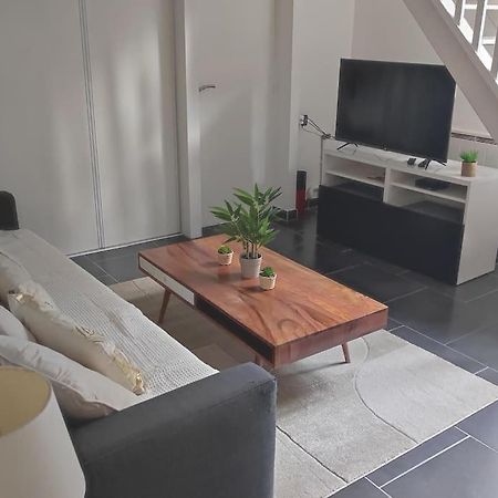 Charmant Duplex En Centre-Ville لو مان المظهر الخارجي الصورة