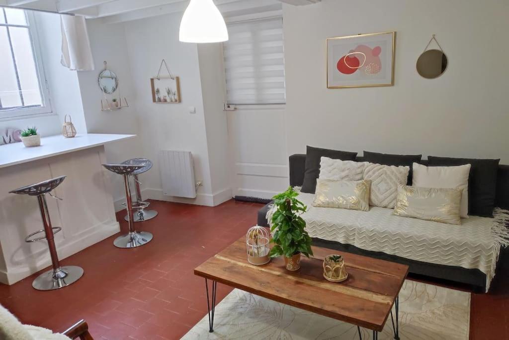 Charmant Duplex En Centre-Ville لو مان المظهر الخارجي الصورة